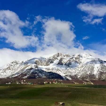 B&B Izvor Žabljak Exteriér fotografie