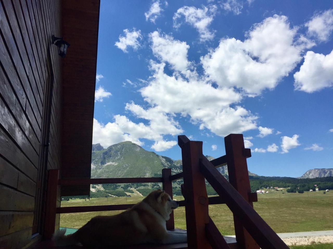 B&B Izvor Žabljak Exteriér fotografie